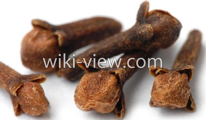 خواص میخک, مضرات میخک, طبع میخک, طریقه مصرف میخک, خواص میخک برای رحم, خواص میخک برای لاغری, گل میخک خشک شده, میخک ویکی پدیا, چوب میخک خواص میخک, مضرات میخک, طبع میخک, طریقه مصرف میخک, خواص میخک برای رحم, خواص میخک برای لاغری, گل میخک خشک شده, میخک ویکی پدیا, چوب میخک