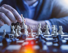 قانون موفقیت پنج / موفقیت در کارو زندگی / روز شمار موفقیت
