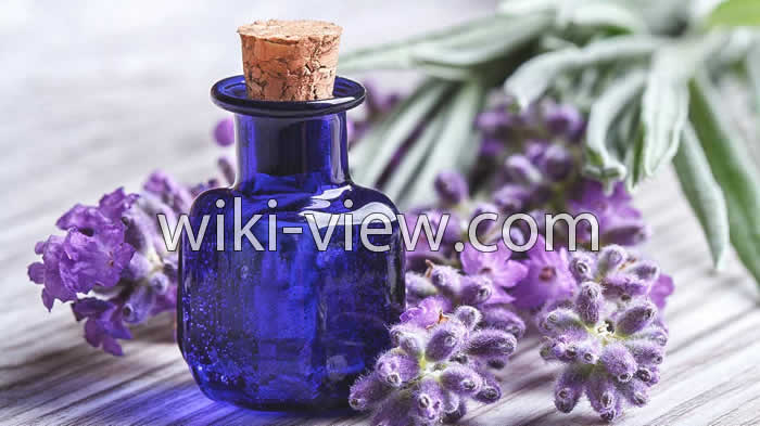 روغن اسطوخودوس, خواص روغن اسطوخودوس, مضرات روغن اسطوخودوس, طبع روغن اسطوخودوس, روغن اسطوخودوس برای مو, خواص روغن اسطوخودوس برای پوست صورت, روغن اسطوخودوس در بارداری, روغن اسطوخودوس برای ماساژ, طرز تهیه روغن اسطوخودوس, روغن لاوندر روغن اسطوخودوس, خواص روغن اسطوخودوس, مضرات روغن اسطوخودوس, طبع روغن اسطوخودوس, روغن اسطوخودوس برای مو, خواص روغن اسطوخودوس برای پوست صورت, روغن اسطوخودوس در بارداری, روغن اسطوخودوس برای ماساژ, طرز تهیه روغن اسطوخودوس, روغن لاوندر