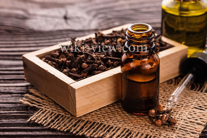 خواص میخک, مضرات میخک, طبع میخک, طریقه مصرف میخک, خواص میخک برای رحم, خواص میخک برای لاغری, گل میخک خشک شده, میخک ویکی پدیا, چوب میخک خواص میخک, مضرات میخک, طبع میخک, طریقه مصرف میخک, خواص میخک برای رحم, خواص میخک برای لاغری, گل میخک خشک شده, میخک ویکی پدیا, چوب میخک