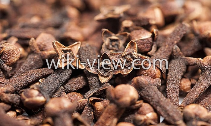 خواص میخک, مضرات میخک, طبع میخک, طریقه مصرف میخک, خواص میخک برای رحم, خواص میخک برای لاغری, گل میخک خشک شده, میخک ویکی پدیا, چوب میخک خواص میخک, مضرات میخک, طبع میخک, طریقه مصرف میخک, خواص میخک برای رحم, خواص میخک برای لاغری, گل میخک خشک شده, میخک ویکی پدیا, چوب میخک