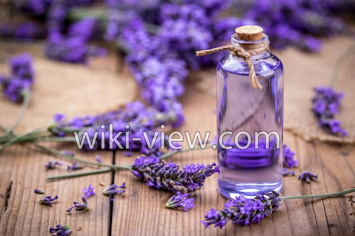 روغن اسطوخودوس, خواص روغن اسطوخودوس, مضرات روغن اسطوخودوس, طبع روغن اسطوخودوس, روغن اسطوخودوس برای مو, خواص روغن اسطوخودوس برای پوست صورت, روغن اسطوخودوس در بارداری, روغن اسطوخودوس برای ماساژ, طرز تهیه روغن اسطوخودوس, روغن لاوندر روغن اسطوخودوس, خواص روغن اسطوخودوس, مضرات روغن اسطوخودوس, طبع روغن اسطوخودوس, روغن اسطوخودوس برای مو, خواص روغن اسطوخودوس برای پوست صورت, روغن اسطوخودوس در بارداری, روغن اسطوخودوس برای ماساژ, طرز تهیه روغن اسطوخودوس, روغن لاوندر