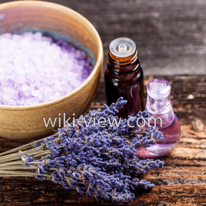 روغن اسطوخودوس, خواص روغن اسطوخودوس, مضرات روغن اسطوخودوس, طبع روغن اسطوخودوس, روغن اسطوخودوس برای مو, خواص روغن اسطوخودوس برای پوست صورت, روغن اسطوخودوس در بارداری, روغن اسطوخودوس برای ماساژ, طرز تهیه روغن اسطوخودوس, روغن لاوندر روغن اسطوخودوس, خواص روغن اسطوخودوس, مضرات روغن اسطوخودوس, طبع روغن اسطوخودوس, روغن اسطوخودوس برای مو, خواص روغن اسطوخودوس برای پوست صورت, روغن اسطوخودوس در بارداری, روغن اسطوخودوس برای ماساژ, طرز تهیه روغن اسطوخودوس, روغن لاوندر