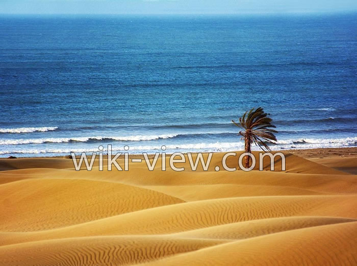 جاذبه های گردشگری چابهار, چابهار, راهنمای سفر به چابهار, زندگی در چابهار, بازارهای چابهار, چابهار منطقه آزاد, سفر به چابهار, عکس شهر چابهار, سوغات چابهار, چابهار تور, فاصله تهران تا چابهار