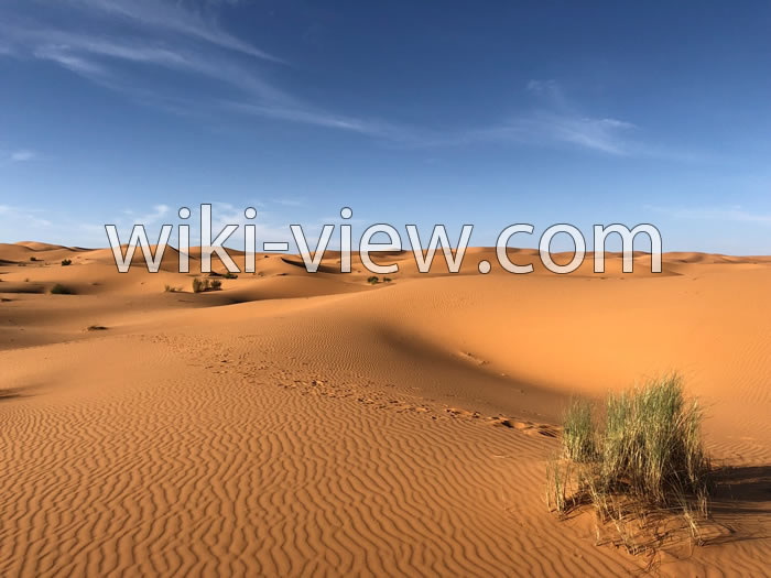حیوانات دشت کویر, دشت کویر و لوت روی نقشه, تفاوت دشت و کویر, دمای هوای دشت کویر, کویر های ایران روی نقشه, کویر چیست, کویر مرنجاب, نقشه کویر لوت