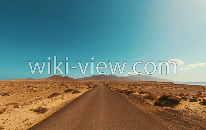 حیوانات دشت کویر, دشت کویر و لوت روی نقشه, تفاوت دشت و کویر, دمای هوای دشت کویر, کویر های ایران روی نقشه, کویر چیست, کویر مرنجاب, نقشه کویر لوت