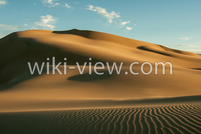 حیوانات دشت کویر, دشت کویر و لوت روی نقشه, تفاوت دشت و کویر, دمای هوای دشت کویر, کویر های ایران روی نقشه, کویر چیست, کویر مرنجاب, نقشه کویر لوت