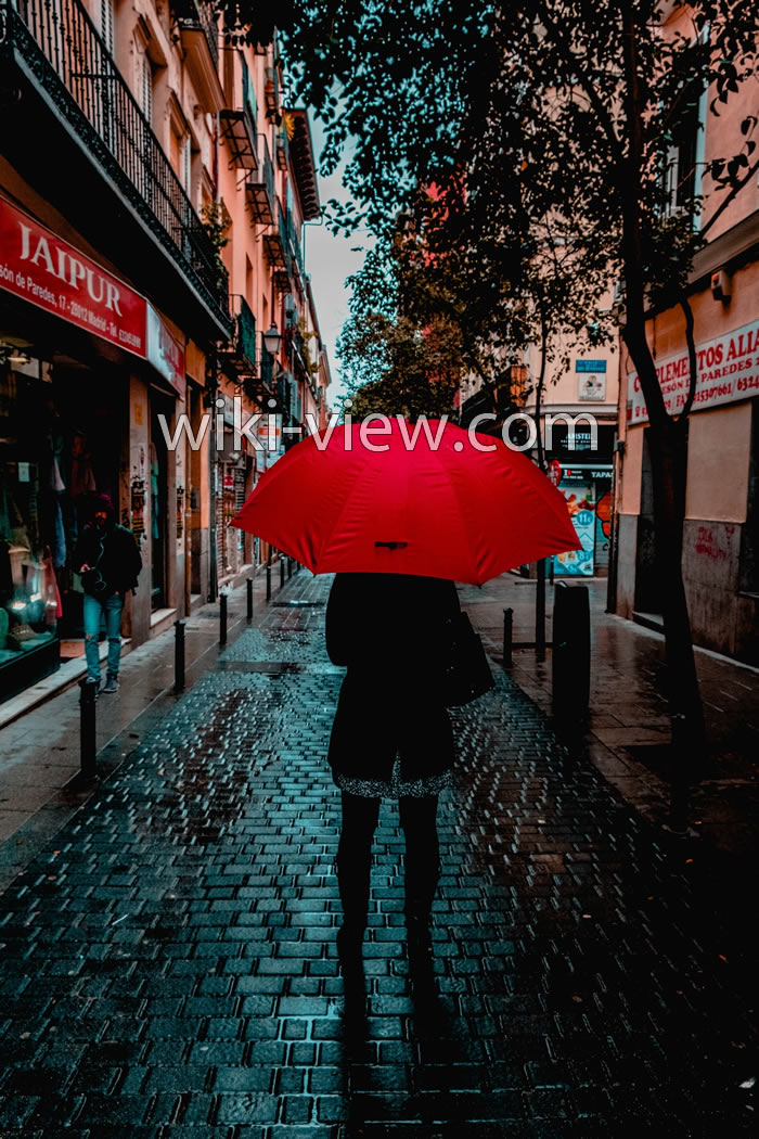 عکاسی از باران, عکاسی از هوای بارانی, زیباترین عکس های باران, نکات عکاسی در روزهای بارانی, عکاسی از قطرات باران, نکات عکاسی در باران, عکاسی در هوای بارانی و تنظیمات دوربین برای عکاسی در باران, آموزش اصول و تکنیک های عکاسی زیر باران, عکاسی در باران عکاسی از باران, عکاسی از هوای بارانی, زیباترین عکس های باران, نکات عکاسی در روزهای بارانی, عکاسی از قطرات باران, نکات عکاسی در باران, عکاسی در هوای بارانی و تنظیمات دوربین برای عکاسی در باران, آموزش اصول و تکنیک های عکاسی زیر باران, عکاسی در باران