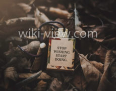 قانون موفقیت یک / موفقیت در کارو زندگی / روز شمار موفقیت
