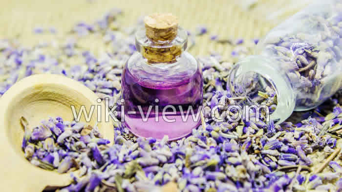 روغن اسطوخودوس, خواص روغن اسطوخودوس, مضرات روغن اسطوخودوس, طبع روغن اسطوخودوس, روغن اسطوخودوس برای مو, خواص روغن اسطوخودوس برای پوست صورت, روغن اسطوخودوس در بارداری, روغن اسطوخودوس برای ماساژ, طرز تهیه روغن اسطوخودوس, روغن لاوندر روغن اسطوخودوس, خواص روغن اسطوخودوس, مضرات روغن اسطوخودوس, طبع روغن اسطوخودوس, روغن اسطوخودوس برای مو, خواص روغن اسطوخودوس برای پوست صورت, روغن اسطوخودوس در بارداری, روغن اسطوخودوس برای ماساژ, طرز تهیه روغن اسطوخودوس, روغن لاوندر