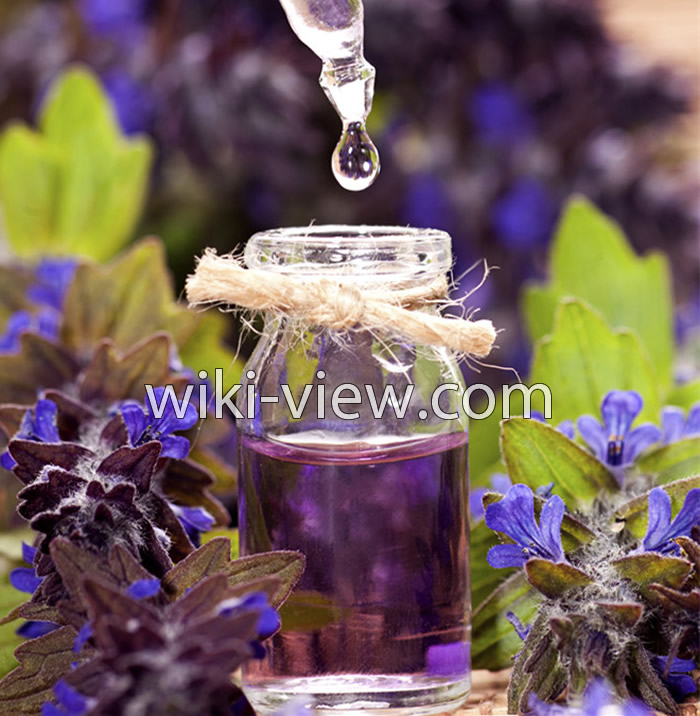 روغن اسطوخودوس, خواص روغن اسطوخودوس, مضرات روغن اسطوخودوس, طبع روغن اسطوخودوس, روغن اسطوخودوس برای مو, خواص روغن اسطوخودوس برای پوست صورت, روغن اسطوخودوس در بارداری, روغن اسطوخودوس برای ماساژ, طرز تهیه روغن اسطوخودوس, روغن لاوندر روغن اسطوخودوس, خواص روغن اسطوخودوس, مضرات روغن اسطوخودوس, طبع روغن اسطوخودوس, روغن اسطوخودوس برای مو, خواص روغن اسطوخودوس برای پوست صورت, روغن اسطوخودوس در بارداری, روغن اسطوخودوس برای ماساژ, طرز تهیه روغن اسطوخودوس, روغن لاوندر