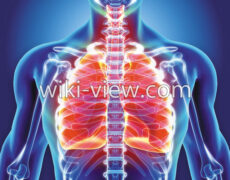 برونشیت : برونشیت حاد چیست / درمان قطعی برونشیت مزمن /برونشیت در طب سنتی