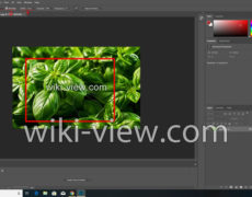 آموزش lasso tool مغناطیسی در فتوشاپ / آموزش tool lasso در فتوشاپ