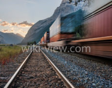 قانون موفقیت پانزده / تحرک و تغییر / روز شمار موفقیت