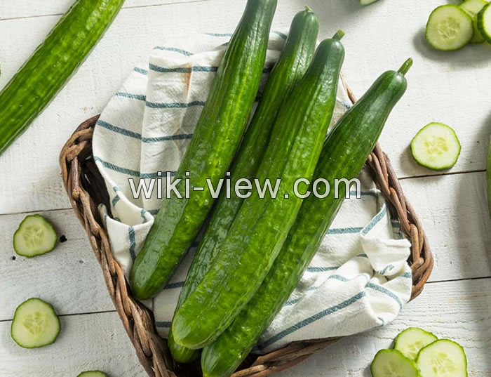 خواص خیار, مضرات خیار, طبع خیار, خواص خیار برای کودکان, خواص ماست خیار در شب, خواص خیار برای پوست, مضرات پوست خیار, خواص خیار در طب سنتی, خواص خیار در طب سنتی خواص خیار, مضرات خیار, طبع خیار, خواص خیار برای کودکان, خواص ماست خیار در شب, خواص خیار برای پوست, مضرات پوست خیار, خواص خیار در طب سنتی, خواص خیار در طب سنتی