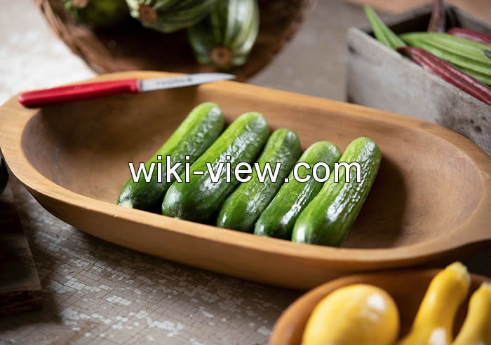 خواص خیار, مضرات خیار, طبع خیار, خواص خیار برای کودکان, خواص ماست خیار در شب, خواص خیار برای پوست, مضرات پوست خیار, خواص خیار در طب سنتی, خواص خیار در طب سنتی خواص خیار, مضرات خیار, طبع خیار, خواص خیار برای کودکان, خواص ماست خیار در شب, خواص خیار برای پوست, مضرات پوست خیار, خواص خیار در طب سنتی, خواص خیار در طب سنتی