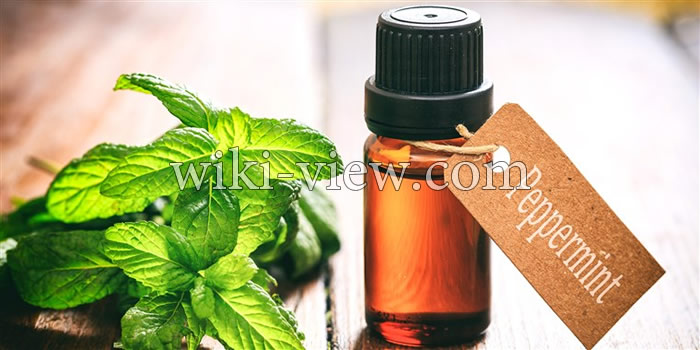 روغن نعناع, خواص روغن نعناع, مضرات روغن نعناع, روغن نعناع فلفلی, طرز تهیه روغن نعناع, روغن نعناع برای لب, روغن نعناع برای پوست, روغن نعناع برای مو, روغن نعناع برای سردرد روغن نعناع, خواص روغن نعناع, مضرات روغن نعناع, روغن نعناع فلفلی, طرز تهیه روغن نعناع, روغن نعناع برای لب, روغن نعناع برای پوست, روغن نعناع برای مو, روغن نعناع برای سردرد