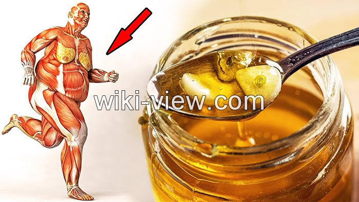 خواص سیر, مضرات سیر, طبع سیر, خواص سیر برای مردان, سیر درمانی, خواص سیر ترشی, خوردن سیر قبل از خواب, سیر را چگونه بخوریم, مضرات خوردن سیر ناشتا, خواص سیر برای پوست, خوردن سیر خام قبل از خواب, خوردن سیر خام قبل از خواب خواص سیر, مضرات سیر, طبع سیر, خواص سیر برای مردان, سیر درمانی, خواص سیر ترشی, خوردن سیر قبل از خواب, سیر را چگونه بخوریم, مضرات خوردن سیر ناشتا, خواص سیر برای پوست, خوردن سیر خام قبل از خواب, خوردن سیر خام قبل از خواب