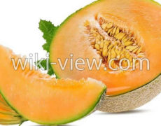 طالبی: خواص، مضرات، فصل / طالبی گرم است یا سرد / برای بارداری، پوست
