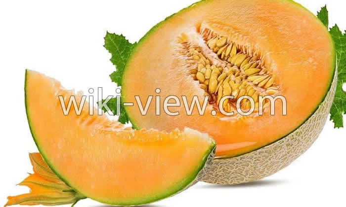 طالبی, خواص طالبی, مضرات طالبی, فصل طالبی, طالبی گرم است یا سرد, خواص طالبی برای مردان, خواص طالبی در بارداری, خواص طالبی برای پوست, کاشت طالبی, خاصیت طالبی چیه, خواص طالبی برای بدن طالبی, خواص طالبی, مضرات طالبی, فصل طالبی, طالبی گرم است یا سرد, خواص طالبی برای مردان, خواص طالبی در بارداری, خواص طالبی برای پوست, کاشت طالبی, خاصیت طالبی چیه, خواص طالبی برای بدن