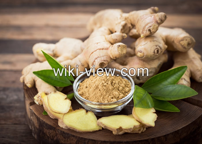 برونشیت چیست, برونشیت حاد چیست, برونشیت مزمن, درمان قطعی برونشیت مزمن, درمان برونشیت در طب سنتی, برونشیت در کودکان, آیا برونشیت خطرناک است؟ برونشیت چیست, برونشیت حاد چیست, برونشیت مزمن, درمان قطعی برونشیت مزمن, درمان برونشیت در طب سنتی, برونشیت در کودکان, آیا برونشیت خطرناک است؟