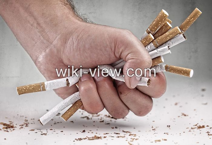 برونشیت چیست, برونشیت حاد چیست, برونشیت مزمن, درمان قطعی برونشیت مزمن, درمان برونشیت در طب سنتی, برونشیت در کودکان, آیا برونشیت خطرناک است؟ برونشیت چیست, برونشیت حاد چیست, برونشیت مزمن, درمان قطعی برونشیت مزمن, درمان برونشیت در طب سنتی, برونشیت در کودکان, آیا برونشیت خطرناک است؟