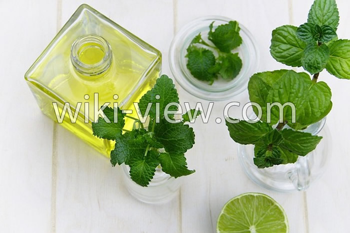 روغن نعناع, خواص روغن نعناع, مضرات روغن نعناع, روغن نعناع فلفلی, طرز تهیه روغن نعناع, روغن نعناع برای لب, روغن نعناع برای پوست, روغن نعناع برای مو, روغن نعناع برای سردرد روغن نعناع, خواص روغن نعناع, مضرات روغن نعناع, روغن نعناع فلفلی, طرز تهیه روغن نعناع, روغن نعناع برای لب, روغن نعناع برای پوست, روغن نعناع برای مو, روغن نعناع برای سردرد