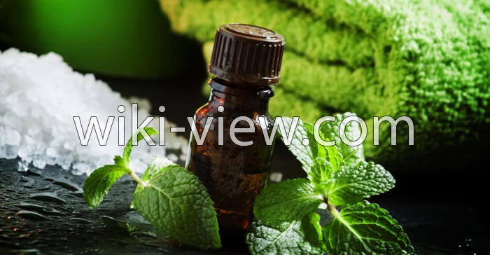 روغن نعناع, خواص روغن نعناع, مضرات روغن نعناع, روغن نعناع فلفلی, طرز تهیه روغن نعناع, روغن نعناع برای لب, روغن نعناع برای پوست, روغن نعناع برای مو, روغن نعناع برای سردرد روغن نعناع, خواص روغن نعناع, مضرات روغن نعناع, روغن نعناع فلفلی, طرز تهیه روغن نعناع, روغن نعناع برای لب, روغن نعناع برای پوست, روغن نعناع برای مو, روغن نعناع برای سردرد
