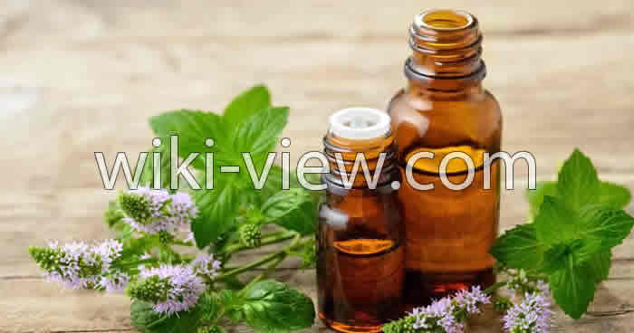روغن نعناع, خواص روغن نعناع, مضرات روغن نعناع, روغن نعناع فلفلی, طرز تهیه روغن نعناع, روغن نعناع برای لب, روغن نعناع برای پوست, روغن نعناع برای مو, روغن نعناع برای سردرد روغن نعناع, خواص روغن نعناع, مضرات روغن نعناع, روغن نعناع فلفلی, طرز تهیه روغن نعناع, روغن نعناع برای لب, روغن نعناع برای پوست, روغن نعناع برای مو, روغن نعناع برای سردرد