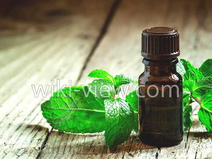 روغن نعناع, خواص روغن نعناع, مضرات روغن نعناع, روغن نعناع فلفلی, طرز تهیه روغن نعناع, روغن نعناع برای لب, روغن نعناع برای پوست, روغن نعناع برای مو, روغن نعناع برای سردرد روغن نعناع, خواص روغن نعناع, مضرات روغن نعناع, روغن نعناع فلفلی, طرز تهیه روغن نعناع, روغن نعناع برای لب, روغن نعناع برای پوست, روغن نعناع برای مو, روغن نعناع برای سردرد
