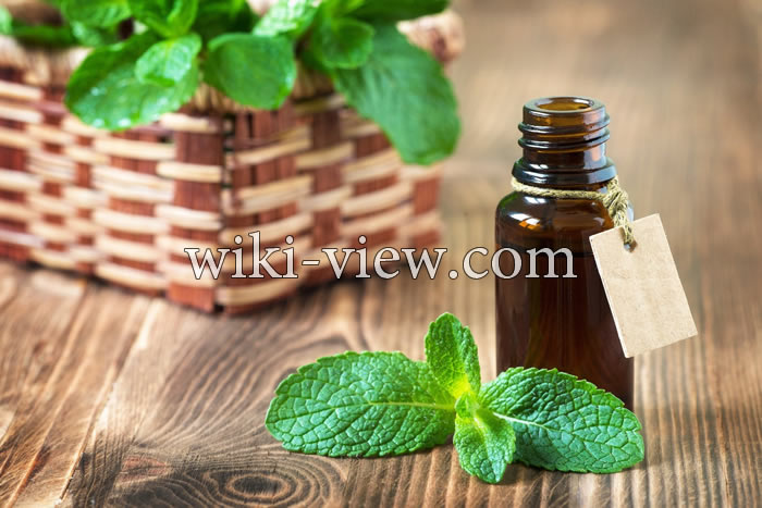 روغن نعناع, خواص روغن نعناع, مضرات روغن نعناع, روغن نعناع فلفلی, طرز تهیه روغن نعناع, روغن نعناع برای لب, روغن نعناع برای پوست, روغن نعناع برای مو, روغن نعناع برای سردرد روغن نعناع, خواص روغن نعناع, مضرات روغن نعناع, روغن نعناع فلفلی, طرز تهیه روغن نعناع, روغن نعناع برای لب, روغن نعناع برای پوست, روغن نعناع برای مو, روغن نعناع برای سردرد