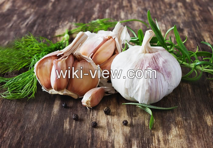 خواص سیر, مضرات سیر, طبع سیر, خواص سیر برای مردان, سیر درمانی, خواص سیر ترشی, خوردن سیر قبل از خواب, سیر را چگونه بخوریم, مضرات خوردن سیر ناشتا, خواص سیر برای پوست, خوردن سیر خام قبل از خواب, خوردن سیر خام قبل از خواب خواص سیر, مضرات سیر, طبع سیر, خواص سیر برای مردان, سیر درمانی, خواص سیر ترشی, خوردن سیر قبل از خواب, سیر را چگونه بخوریم, مضرات خوردن سیر ناشتا, خواص سیر برای پوست, خوردن سیر خام قبل از خواب, خوردن سیر خام قبل از خواب