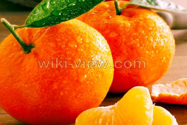 نارنگی, خواص نارنگی, مضرات نارنگی, طبع نارنگی در طب سنتی, خواص نارنگی برای لاغری, خواص دمنوش پوست نارنگی, خواص نارنگی در بارداری, خواص پوست نارنگی, خواص روغن نارنگی, نارنگی کم خونی میاره نارنگی, خواص نارنگی, مضرات نارنگی, طبع نارنگی در طب سنتی, خواص نارنگی برای لاغری, خواص دمنوش پوست نارنگی, خواص نارنگی در بارداری, خواص پوست نارنگی, خواص روغن نارنگی, نارنگی کم خونی میاره