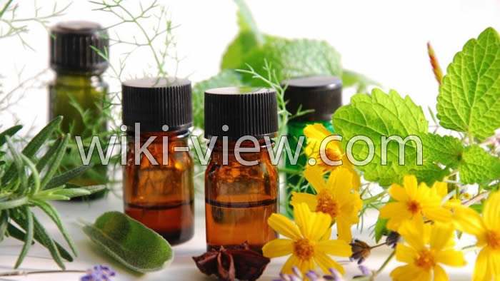 روغن نعناع, خواص روغن نعناع, مضرات روغن نعناع, روغن نعناع فلفلی, طرز تهیه روغن نعناع, روغن نعناع برای لب, روغن نعناع برای پوست, روغن نعناع برای مو, روغن نعناع برای سردرد روغن نعناع, خواص روغن نعناع, مضرات روغن نعناع, روغن نعناع فلفلی, طرز تهیه روغن نعناع, روغن نعناع برای لب, روغن نعناع برای پوست, روغن نعناع برای مو, روغن نعناع برای سردرد