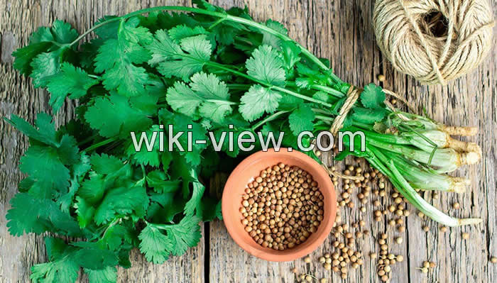 جعفری, خواص جعفری, مضرات جعفری, طبع جعفری, فواید جعفری برای لاغری, جعفری و گشنیز, خواص جعفری برای کلیه, دمنوش جعفری برای قاعدگی, جعفری خواصش, فواید جعفری جعفری, خواص جعفری, مضرات جعفری, طبع جعفری, فواید جعفری برای لاغری, جعفری و گشنیز, خواص جعفری برای کلیه, دمنوش جعفری برای قاعدگی, جعفری خواصش, فواید جعفری