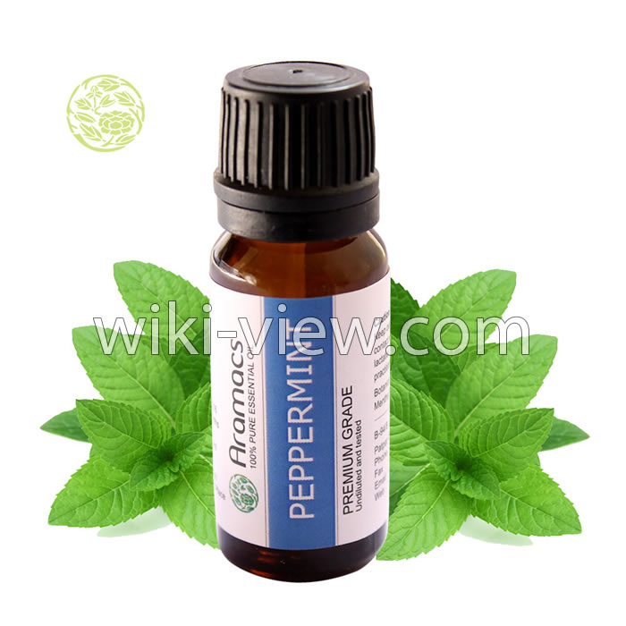 روغن نعناع, خواص روغن نعناع, مضرات روغن نعناع, روغن نعناع فلفلی, طرز تهیه روغن نعناع, روغن نعناع برای لب, روغن نعناع برای پوست, روغن نعناع برای مو, روغن نعناع برای سردرد روغن نعناع, خواص روغن نعناع, مضرات روغن نعناع, روغن نعناع فلفلی, طرز تهیه روغن نعناع, روغن نعناع برای لب, روغن نعناع برای پوست, روغن نعناع برای مو, روغن نعناع برای سردرد