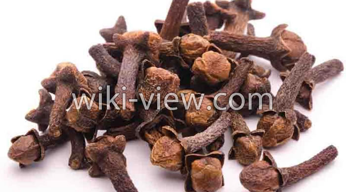 خواص میخک, مضرات میخک, طبع میخک, طریقه مصرف میخک, خواص میخک برای رحم, خواص میخک برای لاغری, گل میخک خشک شده, میخک ویکی پدیا, چوب میخک خواص میخک, مضرات میخک, طبع میخک, طریقه مصرف میخک, خواص میخک برای رحم, خواص میخک برای لاغری, گل میخک خشک شده, میخک ویکی پدیا, چوب میخک