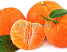 نارنگی: خواص، مضرات، طبع / خواص دمنوش، روغن و پوست نارنگی / لاغری