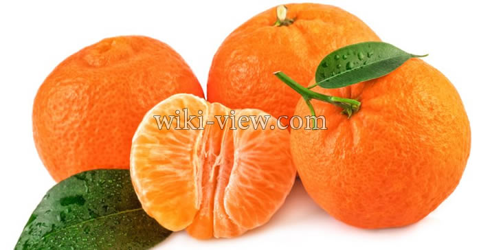 نارنگی, خواص نارنگی, مضرات نارنگی, طبع نارنگی در طب سنتی, خواص نارنگی برای لاغری, خواص دمنوش پوست نارنگی, خواص نارنگی در بارداری, خواص پوست نارنگی, خواص روغن نارنگی, نارنگی کم خونی میاره نارنگی, خواص نارنگی, مضرات نارنگی, طبع نارنگی در طب سنتی, خواص نارنگی برای لاغری, خواص دمنوش پوست نارنگی, خواص نارنگی در بارداری, خواص پوست نارنگی, خواص روغن نارنگی, نارنگی کم خونی میاره