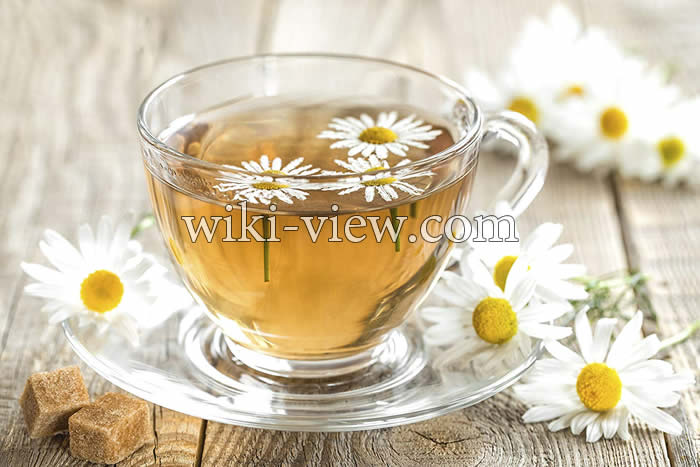 بابونه, خواص بابونه, مضرات بابونه, طبع بابونه, خواص گل بابونه برای کودکان, بابونه در بارداری, بابونه رومی, چای بابونه, خواص بابونه تلخ, بابونه و فشار خون, مشخصات گل بابونه بابونه, خواص بابونه, مضرات بابونه, طبع بابونه, خواص گل بابونه برای کودکان, بابونه در بارداری, بابونه رومی, چای بابونه, خواص بابونه تلخ, بابونه و فشار خون, مشخصات گل بابونه