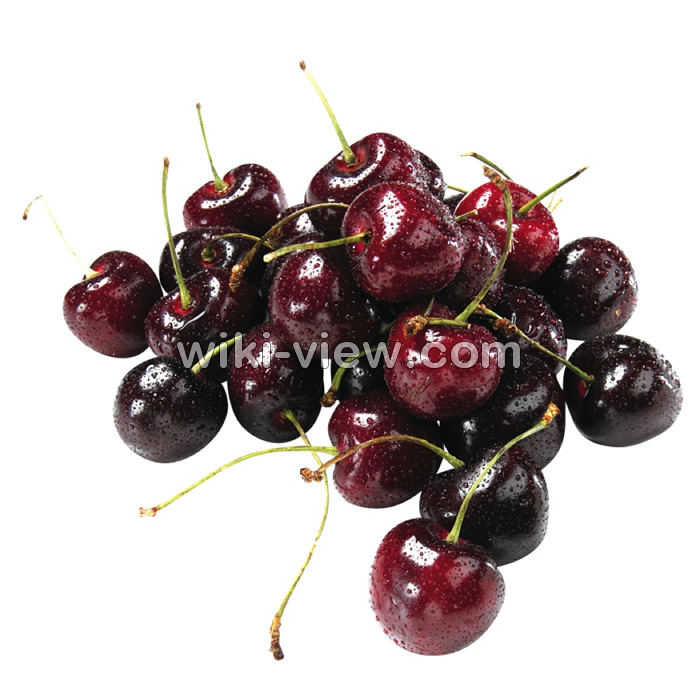 خواص گیلاس, مضرات گیلاس, طبع گیلاس, خواص گیلاس در بارداری, طبع کمپوت گیلاس, خواص گیلاس در طب سنتی, خواص کمپوت گیلاس, خواص گیلاس خشک, ماسک گیلاس, تفاوت گیلاس و آلبالو خواص گیلاس, مضرات گیلاس, طبع گیلاس, خواص گیلاس در بارداری, طبع کمپوت گیلاس, خواص گیلاس در طب سنتی, خواص کمپوت گیلاس, خواص گیلاس خشک, ماسک گیلاس, تفاوت گیلاس و آلبالو