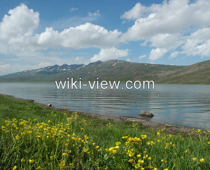 ماهیگیری, بهترین دریاچه ها و رودخانه های ایران برای ماهیگیری, ماهیگیری در تهران, کجا ماهی بگیریم, بهترین مکان برای ماهیگیری, ماهیگیری با قلاب, بهترین جا برای ماهیگیری با قلاب, مکان های مجاز ماهیگیری, ماهیگیری در دریاچه خلیج فارس, رودخانه های ماهیگیری, دریاچه های ماهیگیری, ماهیگیری در رودخانه های تهران ماهیگیری, بهترین دریاچه ها و رودخانه های ایران برای ماهیگیری, ماهیگیری در تهران, کجا ماهی بگیریم, بهترین مکان برای ماهیگیری, ماهیگیری با قلاب, بهترین جا برای ماهیگیری با قلاب, مکان های مجاز ماهیگیری, ماهیگیری در دریاچه خلیج فارس, رودخانه های ماهیگیری, دریاچه های ماهیگیری, ماهیگیری در رودخانه های تهران