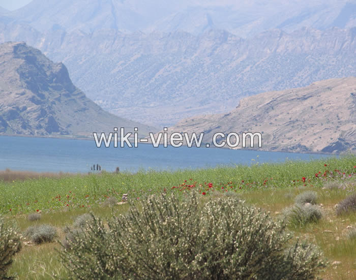 ماهیگیری, بهترین دریاچه ها و رودخانه های ایران برای ماهیگیری, ماهیگیری در تهران, کجا ماهی بگیریم, بهترین مکان برای ماهیگیری, ماهیگیری با قلاب, بهترین جا برای ماهیگیری با قلاب, مکان های مجاز ماهیگیری, ماهیگیری در دریاچه خلیج فارس, رودخانه های ماهیگیری, دریاچه های ماهیگیری, ماهیگیری در رودخانه های تهران ماهیگیری, بهترین دریاچه ها و رودخانه های ایران برای ماهیگیری, ماهیگیری در تهران, کجا ماهی بگیریم, بهترین مکان برای ماهیگیری, ماهیگیری با قلاب, بهترین جا برای ماهیگیری با قلاب, مکان های مجاز ماهیگیری, ماهیگیری در دریاچه خلیج فارس, رودخانه های ماهیگیری, دریاچه های ماهیگیری, ماهیگیری در رودخانه های تهران