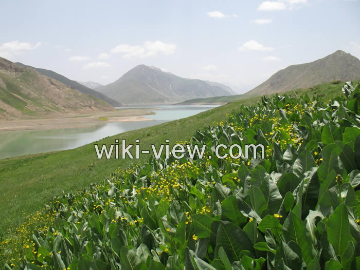 ماهیگیری, بهترین دریاچه ها و رودخانه های ایران برای ماهیگیری, ماهیگیری در تهران, کجا ماهی بگیریم, بهترین مکان برای ماهیگیری, ماهیگیری با قلاب, بهترین جا برای ماهیگیری با قلاب, مکان های مجاز ماهیگیری, ماهیگیری در دریاچه خلیج فارس, رودخانه های ماهیگیری, دریاچه های ماهیگیری, ماهیگیری در رودخانه های تهران ماهیگیری, بهترین دریاچه ها و رودخانه های ایران برای ماهیگیری, ماهیگیری در تهران, کجا ماهی بگیریم, بهترین مکان برای ماهیگیری, ماهیگیری با قلاب, بهترین جا برای ماهیگیری با قلاب, مکان های مجاز ماهیگیری, ماهیگیری در دریاچه خلیج فارس, رودخانه های ماهیگیری, دریاچه های ماهیگیری, ماهیگیری در رودخانه های تهران