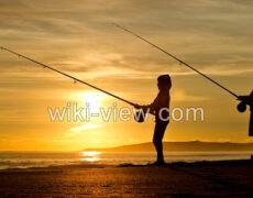 ماهیگیری / بهترین دریاچه ها و رودخانه های ایران برای ماهیگیری