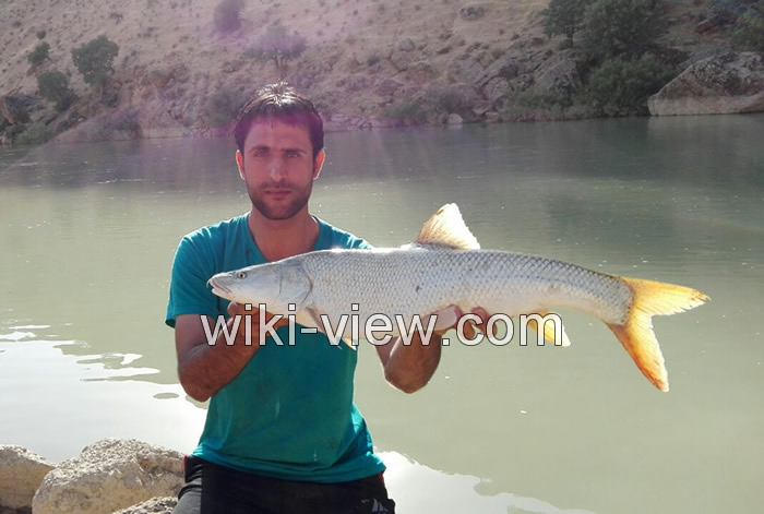 ماهیگیری, بهترین دریاچه ها و رودخانه های ایران برای ماهیگیری, ماهیگیری در تهران, کجا ماهی بگیریم, بهترین مکان برای ماهیگیری, ماهیگیری با قلاب, بهترین جا برای ماهیگیری با قلاب, مکان های مجاز ماهیگیری, ماهیگیری در دریاچه خلیج فارس, رودخانه های ماهیگیری, دریاچه های ماهیگیری, ماهیگیری در رودخانه های تهران ماهیگیری, بهترین دریاچه ها و رودخانه های ایران برای ماهیگیری, ماهیگیری در تهران, کجا ماهی بگیریم, بهترین مکان برای ماهیگیری, ماهیگیری با قلاب, بهترین جا برای ماهیگیری با قلاب, مکان های مجاز ماهیگیری, ماهیگیری در دریاچه خلیج فارس, رودخانه های ماهیگیری, دریاچه های ماهیگیری, ماهیگیری در رودخانه های تهران