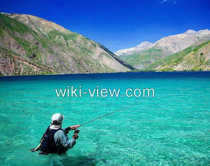 ماهیگیری, بهترین دریاچه ها و رودخانه های ایران برای ماهیگیری, ماهیگیری در تهران, کجا ماهی بگیریم, بهترین مکان برای ماهیگیری, ماهیگیری با قلاب, بهترین جا برای ماهیگیری با قلاب, مکان های مجاز ماهیگیری, ماهیگیری در دریاچه خلیج فارس, رودخانه های ماهیگیری, دریاچه های ماهیگیری, ماهیگیری در رودخانه های تهران ماهیگیری, بهترین دریاچه ها و رودخانه های ایران برای ماهیگیری, ماهیگیری در تهران, کجا ماهی بگیریم, بهترین مکان برای ماهیگیری, ماهیگیری با قلاب, بهترین جا برای ماهیگیری با قلاب, مکان های مجاز ماهیگیری, ماهیگیری در دریاچه خلیج فارس, رودخانه های ماهیگیری, دریاچه های ماهیگیری, ماهیگیری در رودخانه های تهران