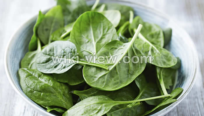 اسفناج و ماست, خواص اسفناج, مضرات اسفناج, طبع اسفناج, خواص اسفناج برای مو, اسفناج خام یا پخته؟, اسفناج پخته, خواص اسفناج برای لاغری, طریقه مصرف اسفناج, اسفناج و ماست, طبیعت اسفناج اسفناج و ماست, خواص اسفناج, مضرات اسفناج, طبع اسفناج, خواص اسفناج برای مو, اسفناج خام یا پخته؟, اسفناج پخته, خواص اسفناج برای لاغری, طریقه مصرف اسفناج, اسفناج و ماست, طبیعت اسفناج