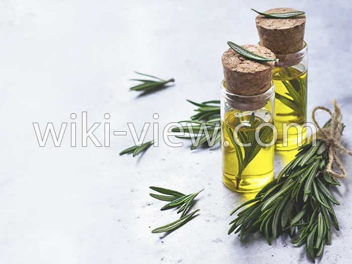 خواص روغن رزماری, مضرات روغن رزماری, طبع روغن رزماری, روغن رزماری برای صورت, روغن رزماری برای ریش, روغن رزماری برای ابرو, طرز تهیه روغن رزماری, تشخیص روغن رزماری اصل خواص روغن رزماری, مضرات روغن رزماری, طبع روغن رزماری, روغن رزماری برای صورت, روغن رزماری برای ریش, روغن رزماری برای ابرو, طرز تهیه روغن رزماری, تشخیص روغن رزماری اصل