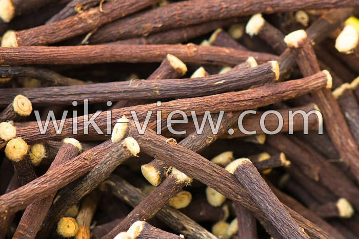 خواص شیرین بیان, مضرات شیرین بیان, طبع شیرین بیان, خواص شیرین بیان برای روده, خواص شیرین بیان برای مو, خواص شیرین بیان برای پوست, معجزه شیرین بیان, نحوه مصرف عصاره جامد شیرین بیان, طرز تهیه دمنوش شیرین بیان خواص شیرین بیان, مضرات شیرین بیان, طبع شیرین بیان, خواص شیرین بیان برای روده, خواص شیرین بیان برای مو, خواص شیرین بیان برای پوست, معجزه شیرین بیان, نحوه مصرف عصاره جامد شیرین بیان, طرز تهیه دمنوش شیرین بیان